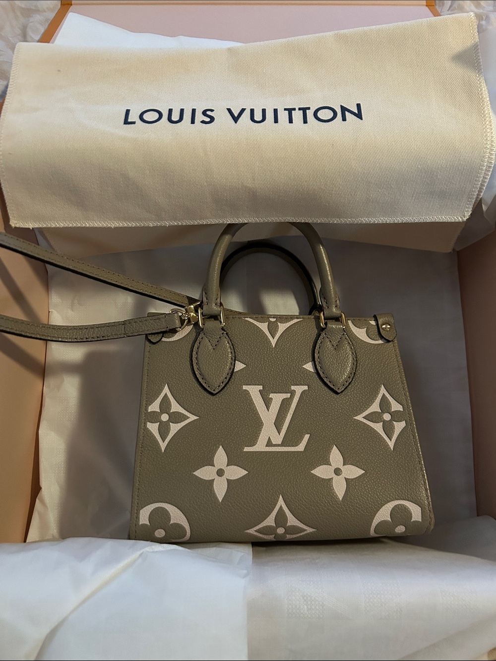 OnTheGo BB Louis Vuitton bag